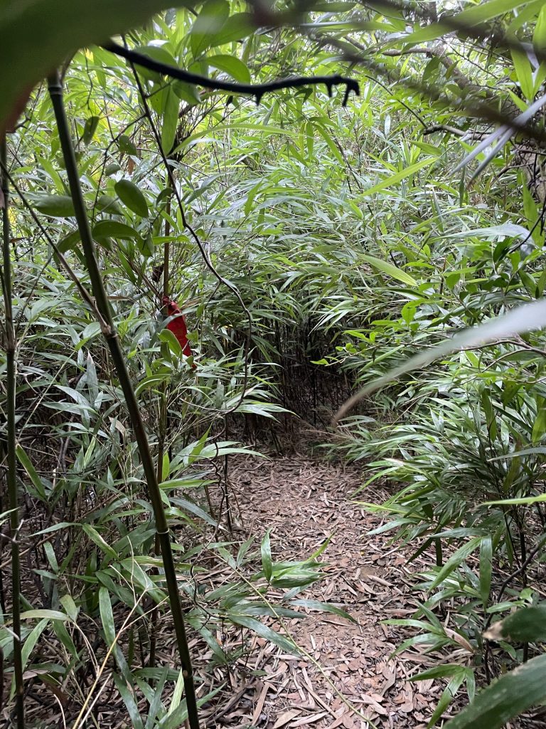 深圳望郎归-旅图